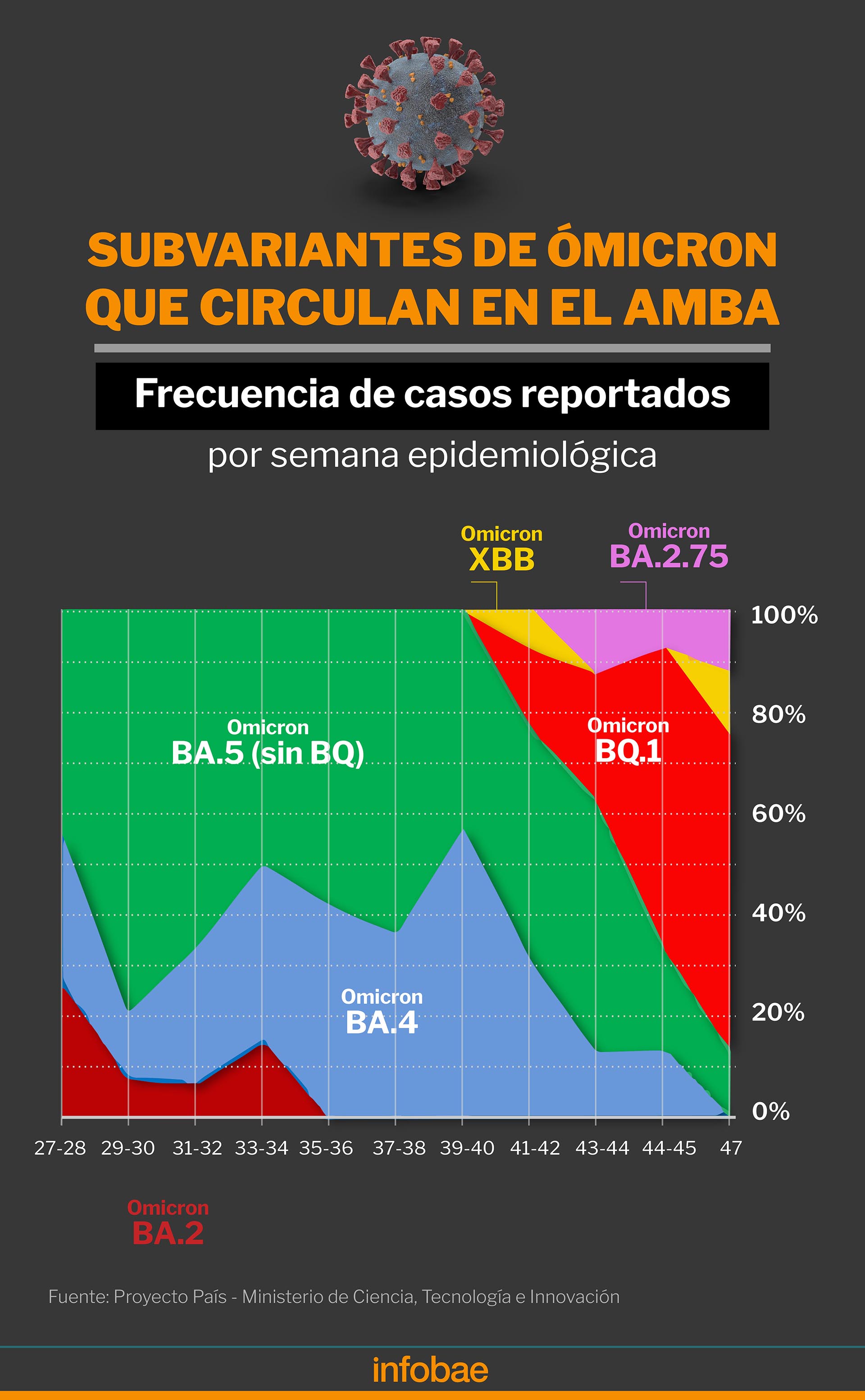 The graph shows that from Weeks 41 and 42 (between October 9 and 21) the circulation of the BQ.1.1 subspecies increased in AMBA.  Omicron XBB is also growing / Infographic by Marcelo Regalado 